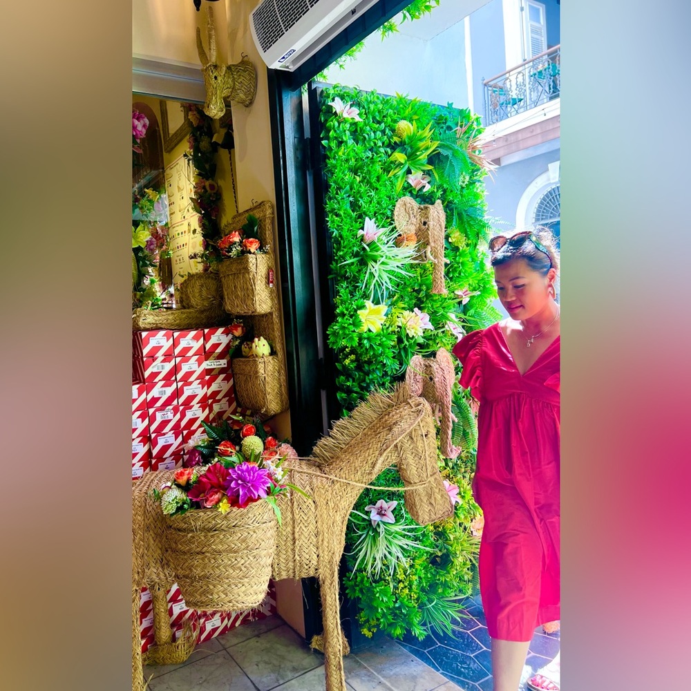 SHOPTHEFLORES IS LIVE!! 🥳 Hurry, Enter The Show 👉 - Picture 8 of 10